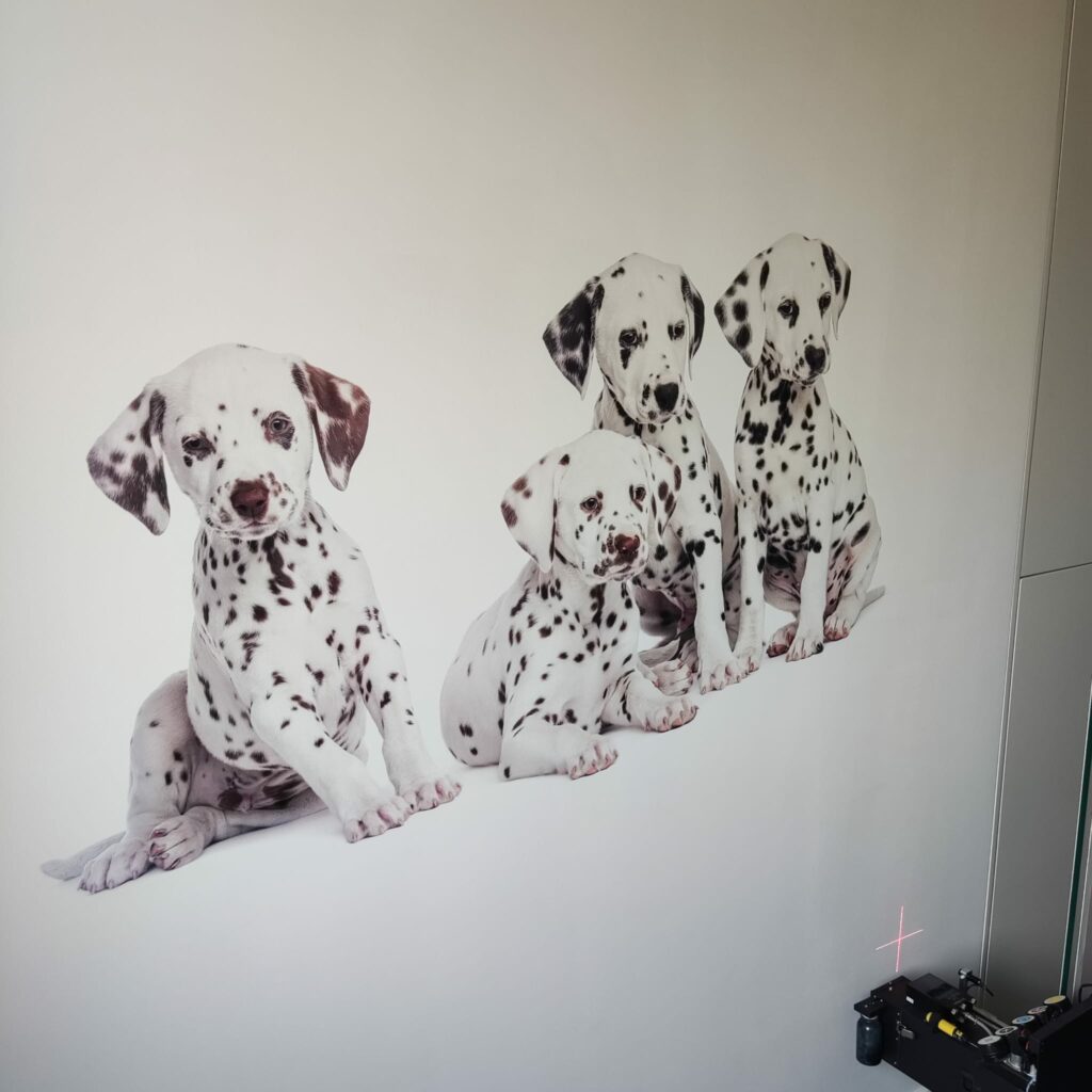 druk naścienny przedstawiający psy